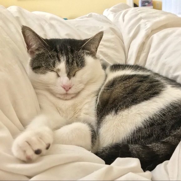 Meet your Posher, Juliana - Picture 1 of 1